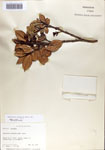 000065762-thumbnail.jpg