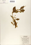 000065866-thumbnail.jpg