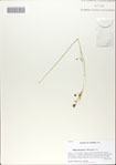 000066056-thumbnail.jpg