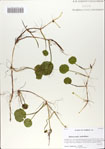 000066072-thumbnail.jpg