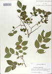 000066073-thumbnail.jpg