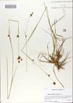 000066074-thumbnail.jpg
