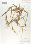 000066118-thumbnail.jpg