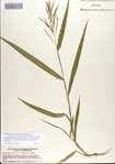 000066200-thumbnail.jpg