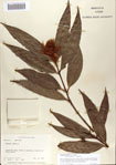 000066858-thumbnail.jpg