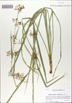 000066960-thumbnail.jpg