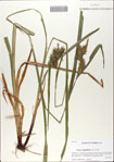 000066974-thumbnail.jpg