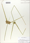000066991-thumbnail.jpg