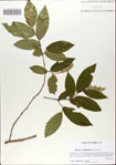 000067001-thumbnail.jpg