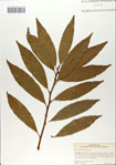 000067031-thumbnail.jpg
