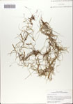 000067040-thumbnail.jpg