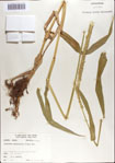 000067362-thumbnail.jpg