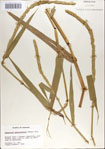 000067363-thumbnail.jpg