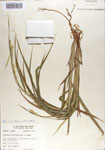 000067530-thumbnail.jpg