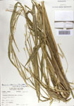 000067533-thumbnail.jpg