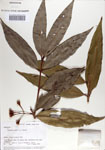 000067756-thumbnail.jpg