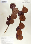 000067859-thumbnail.jpg