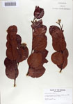 000067860-thumbnail.jpg