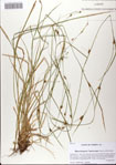 000068417-thumbnail.jpg