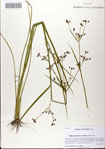 000068419-thumbnail.jpg
