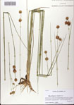 000068420-thumbnail.jpg