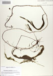 000068551-thumbnail.jpg
