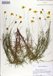 000068561-thumbnail.jpg