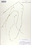 000068606-thumbnail.jpg