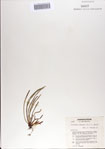 000068865-thumbnail.jpg