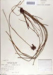 000068867-thumbnail.jpg