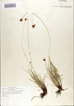 000070130-thumbnail.jpg