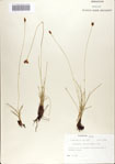 000070140-thumbnail.jpg