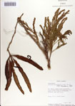 000070403-thumbnail.jpg