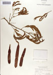 000070404-thumbnail.jpg