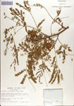 000070405-thumbnail.jpg