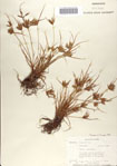 000070464-thumbnail.jpg
