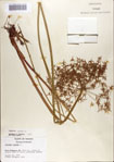 000070509-thumbnail.jpg