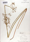 000070511-thumbnail.jpg