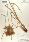 000070824-thumbnail.jpg