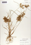 000070840-thumbnail.jpg