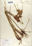 000070901-thumbnail.jpg