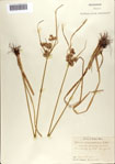 000070909-thumbnail.jpg