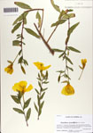000071073-thumbnail.jpg