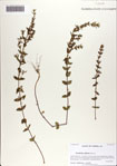 000071125-thumbnail.jpg
