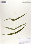000071131-thumbnail.jpg