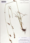 000071133-thumbnail.jpg
