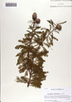 000071147-thumbnail.jpg