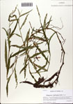 000071343-thumbnail.jpg