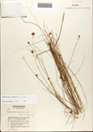 000071867-thumbnail.jpg