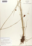 000071982-thumbnail.jpg